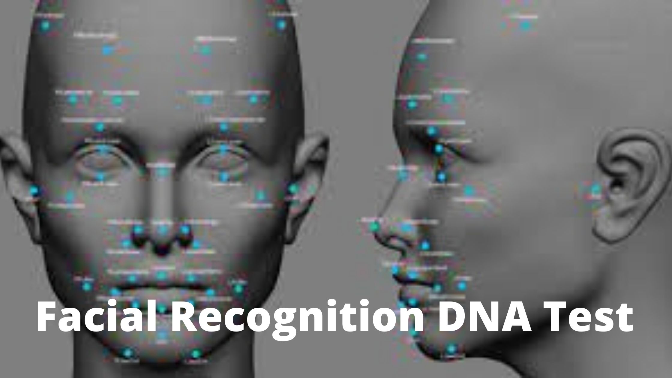 Facial Recognition DNA Test