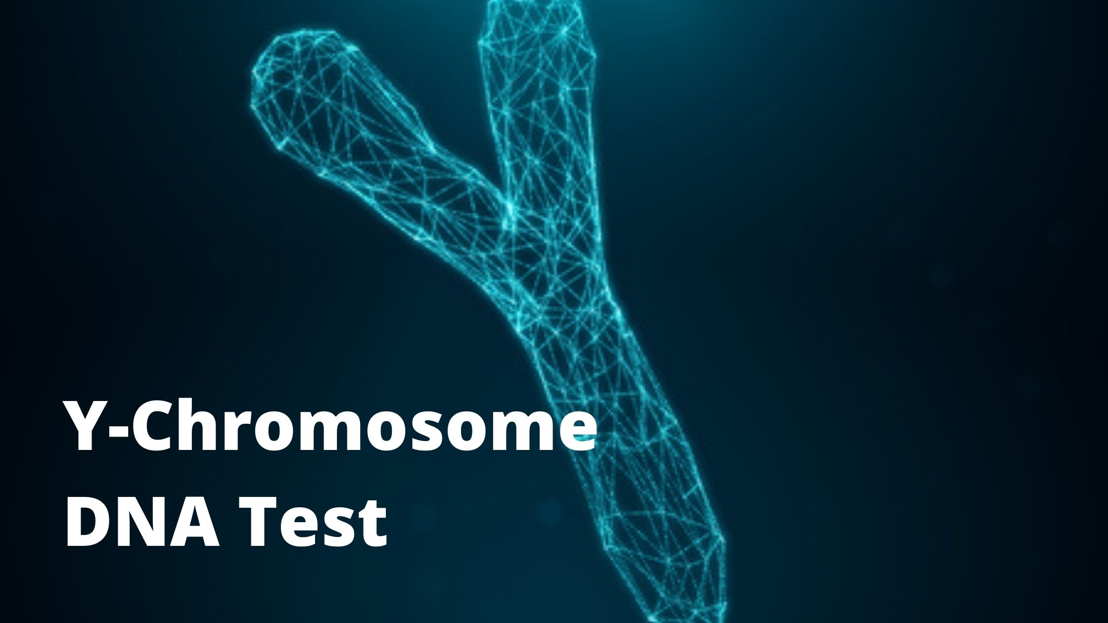 Y-Chromosome DNA test