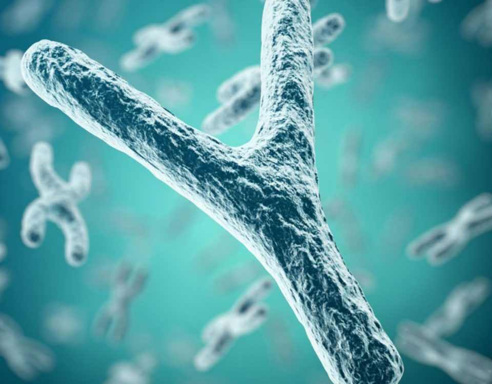 Y-chromosome DNA test