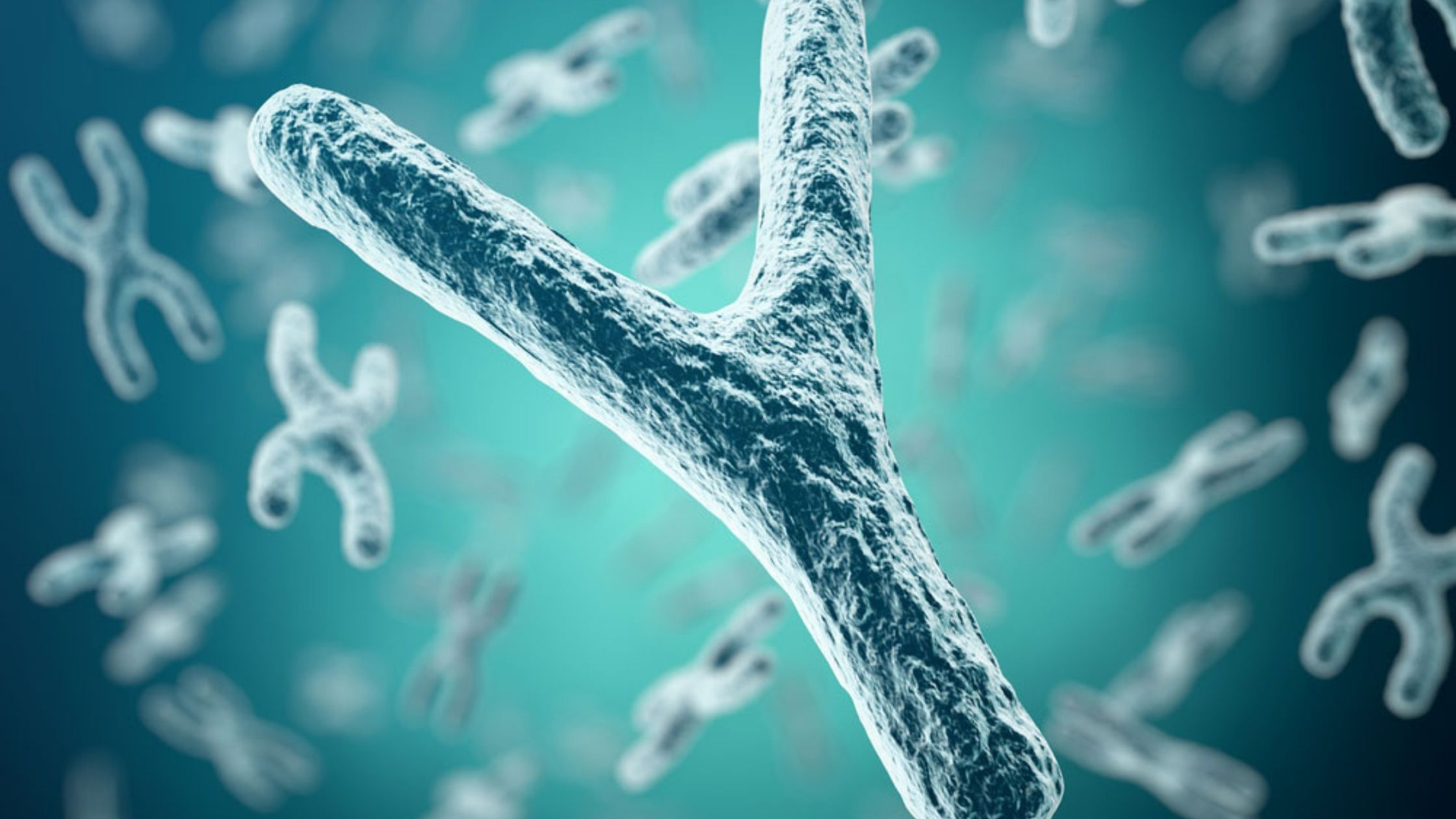 What is a Y-Chromosome DNA test? | DNA Testing Near - US DNA Test