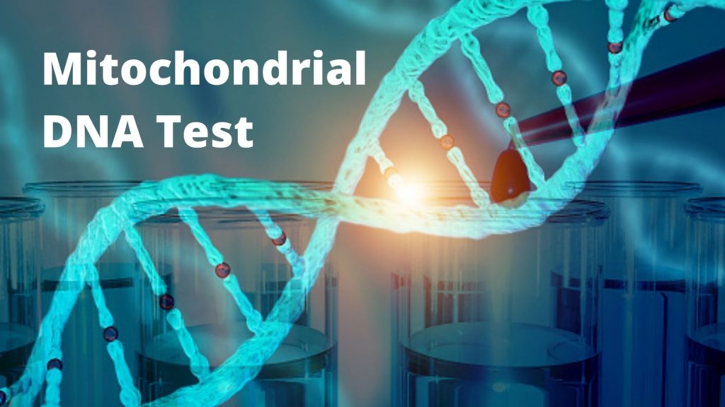 Mitochondrial DNA Test