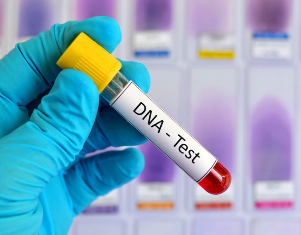 Immigration DNA testing